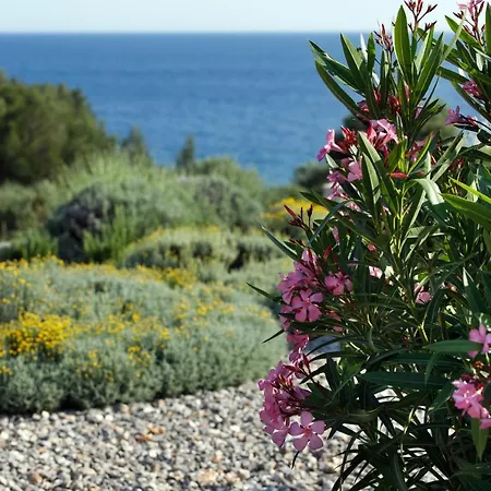Villa Vito