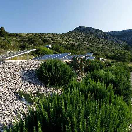 Vito Villa Zarace