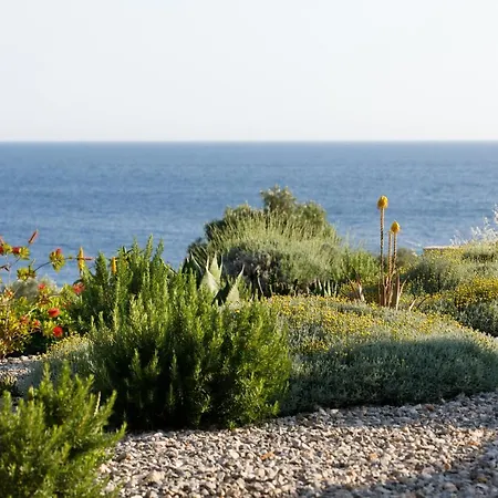Vito Villa Zarace