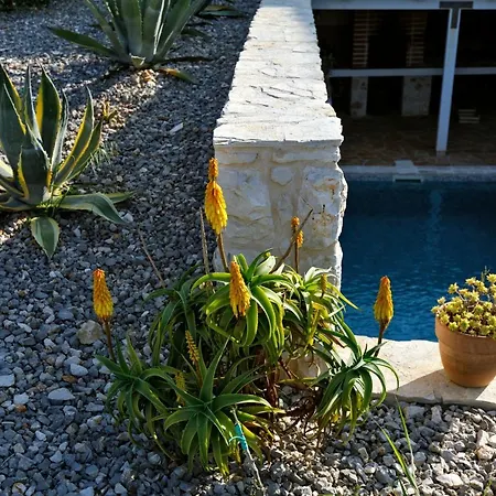 Vito Villa Zarace